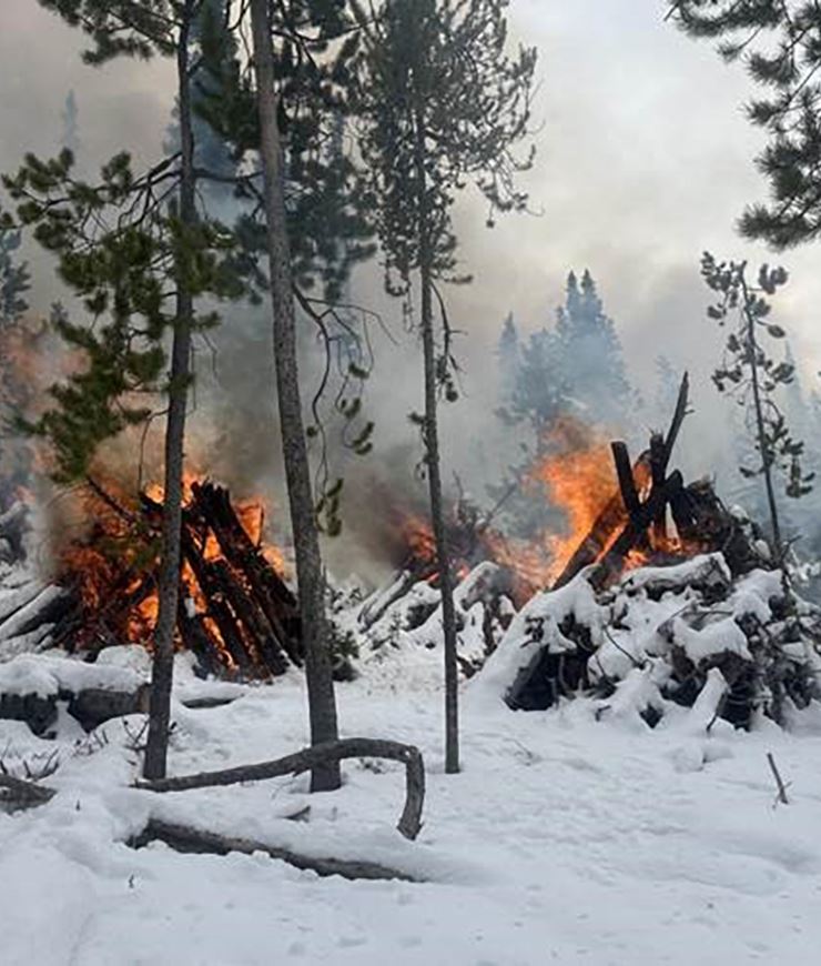 Prescribed Burns NewsFlash