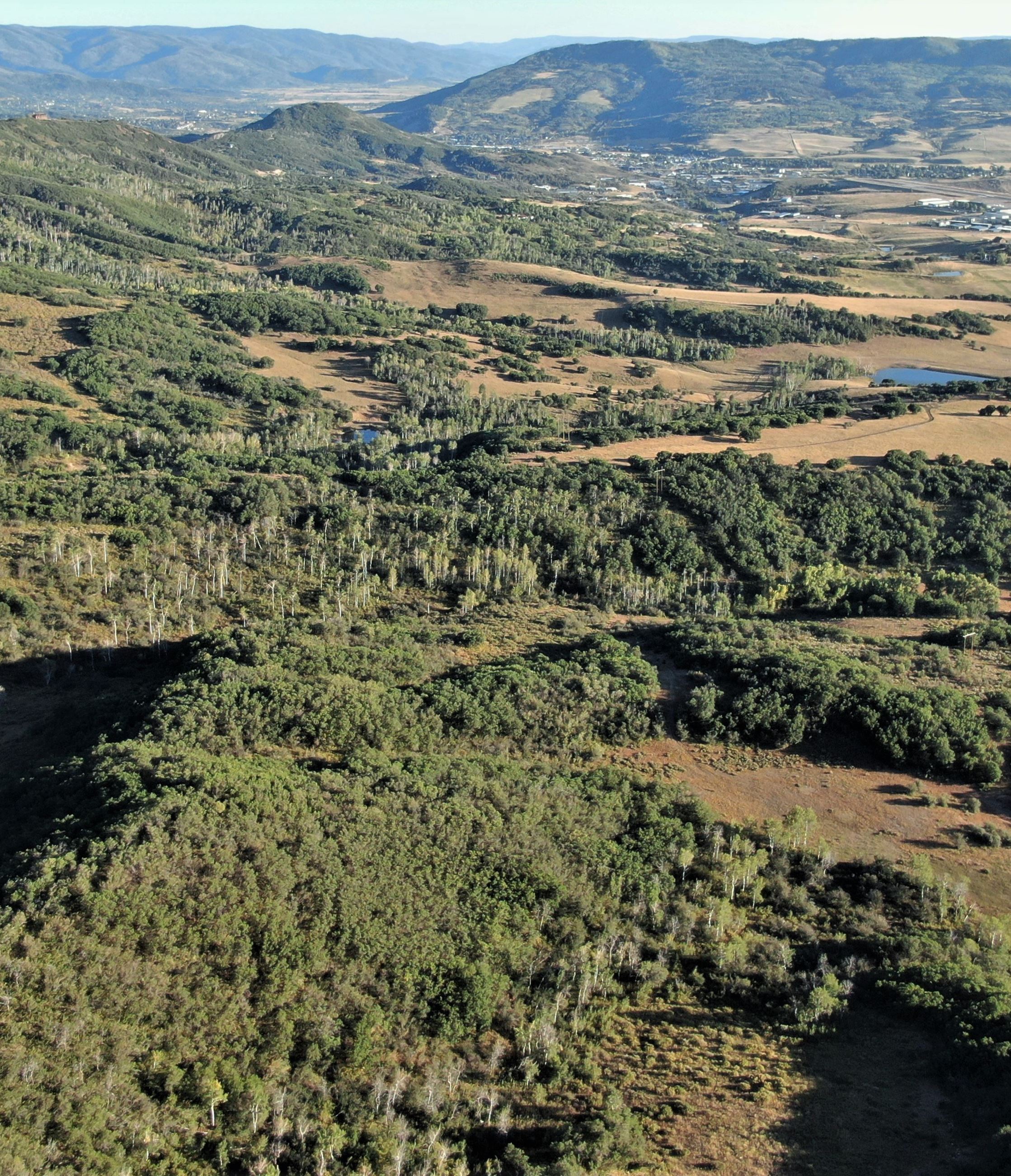 Ariel view of the Copper Ridge property. 
