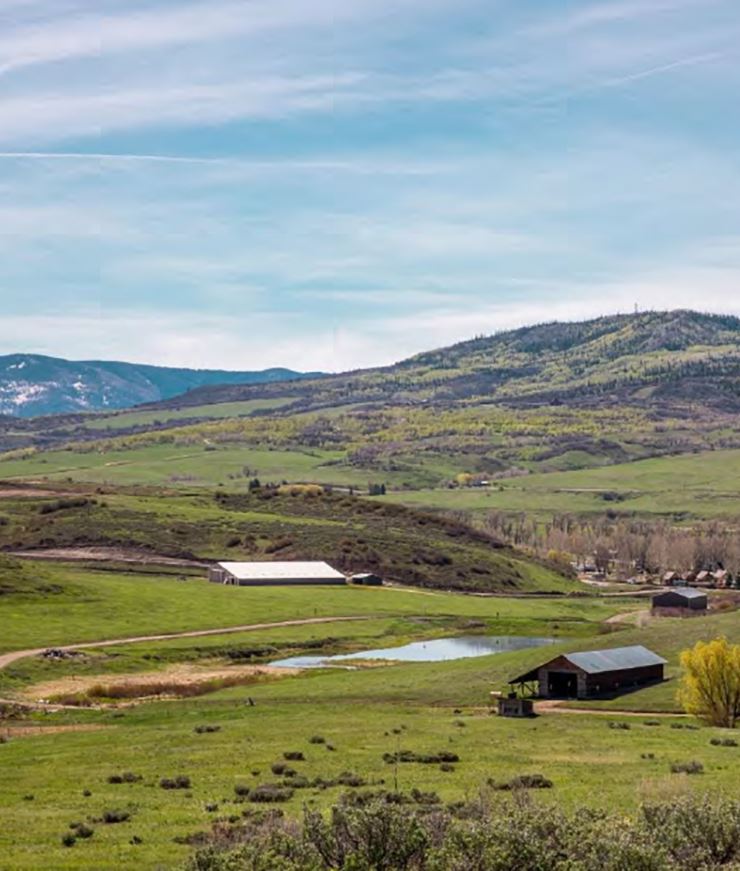 TIS Brown Ranch NewsFlash