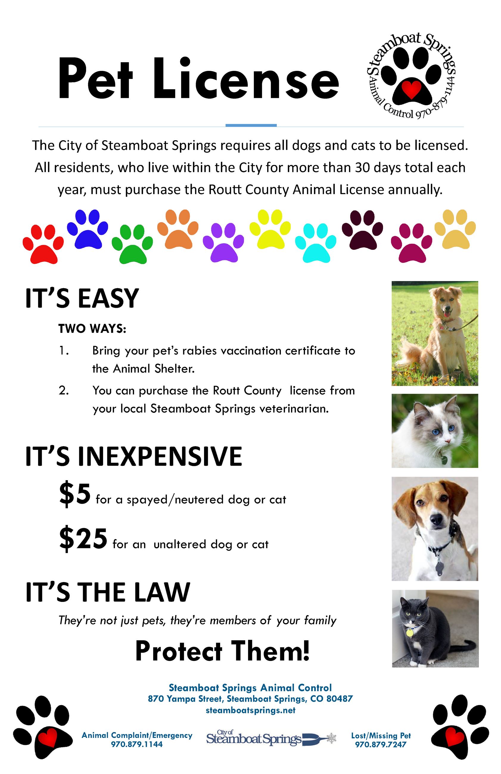 Pet License Poster